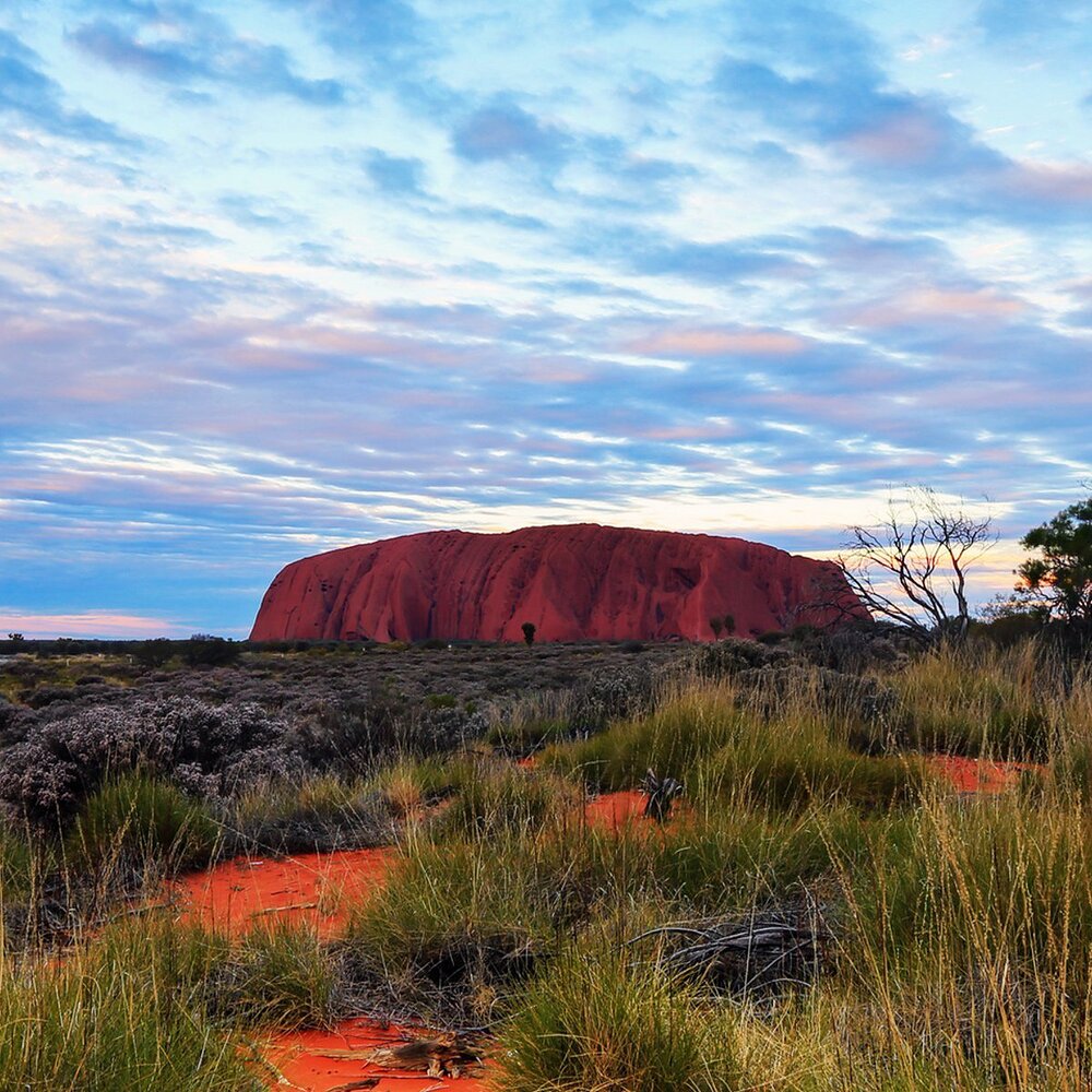 The Uluru Curse otherwise known as 